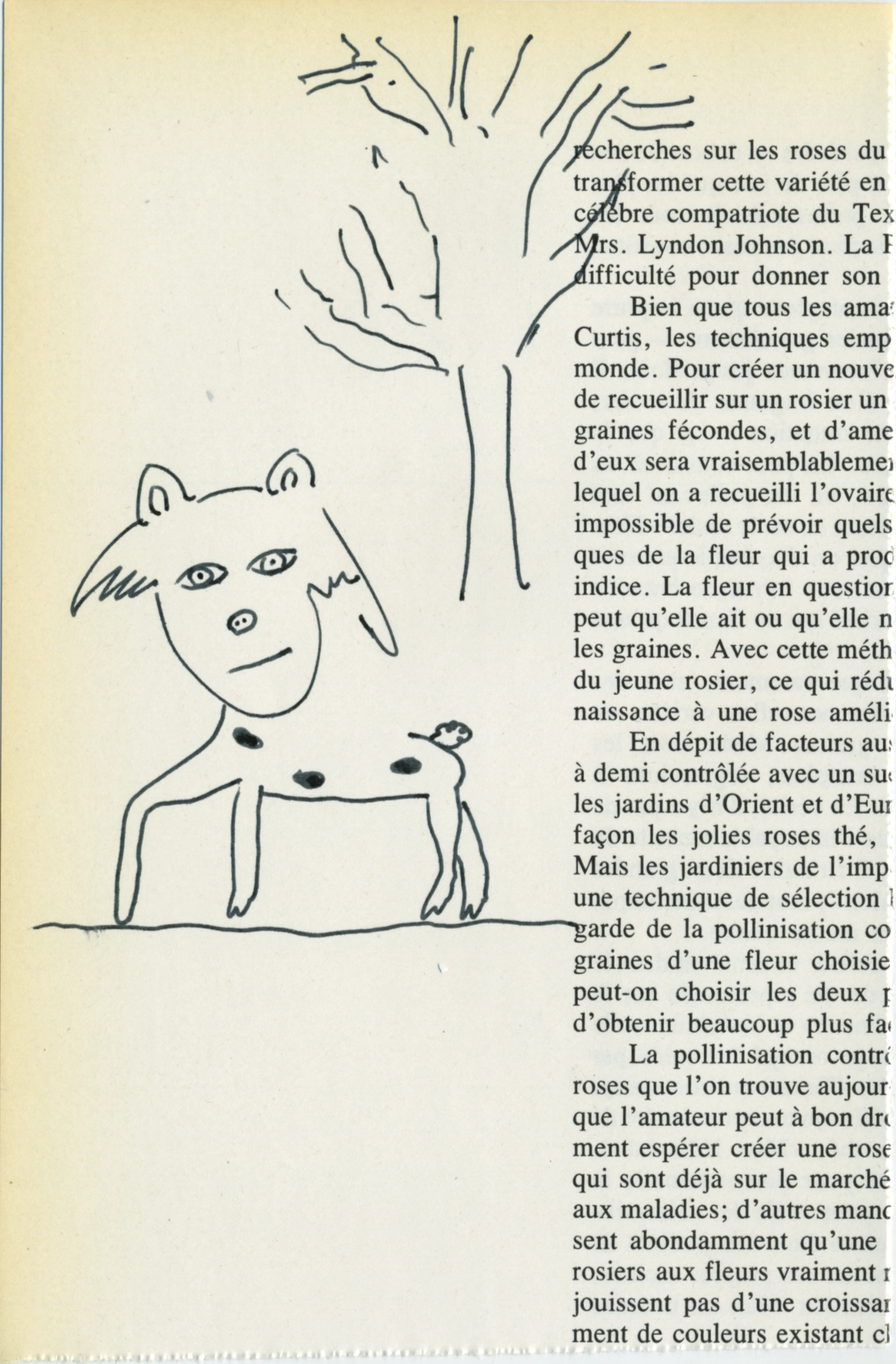 jeremiegrandsenne_2023_animalchelouetarbre