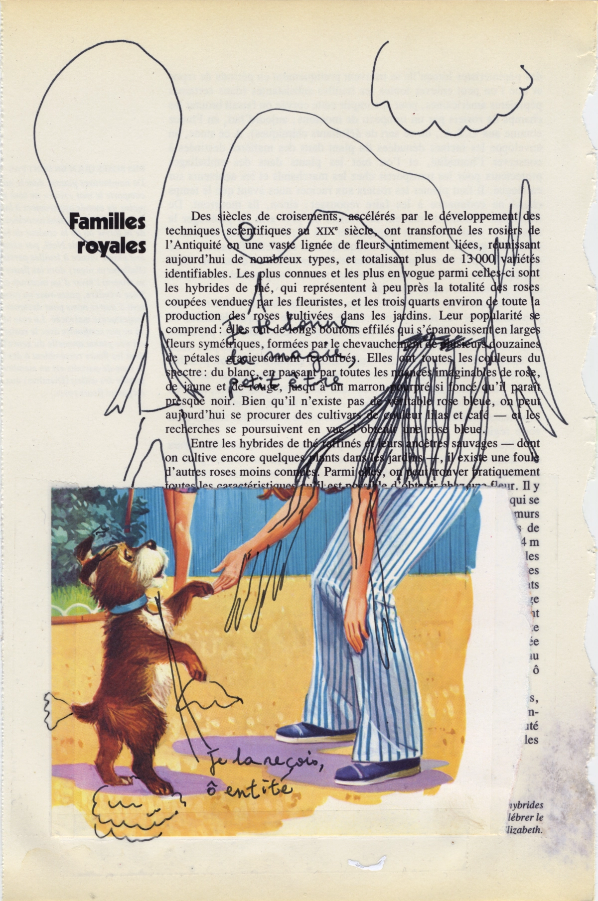 jeremiegrandsenne_2023_famillesroyales