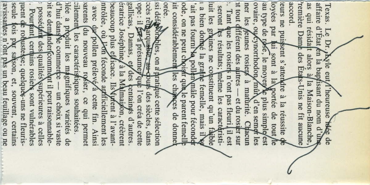 jeremiegrandsenne_2023_paysagemontagnescollinesetarbre