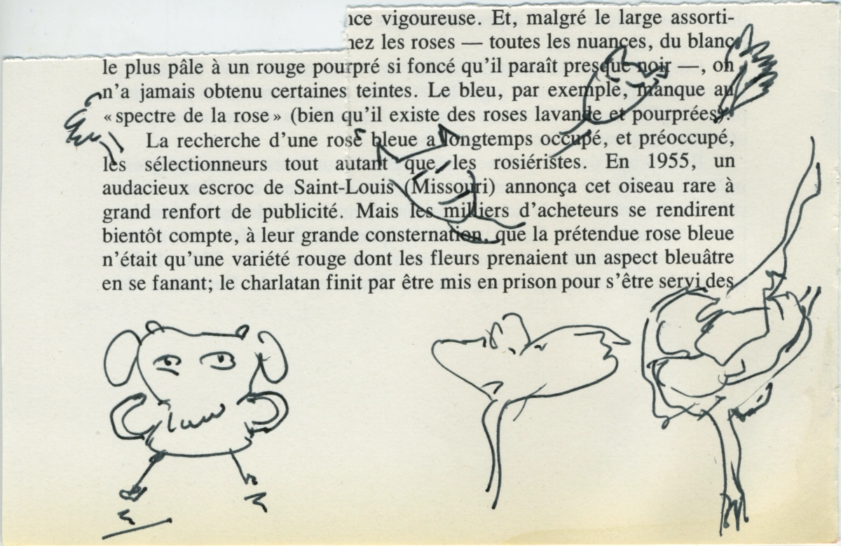 jeremiegrandsenne_2023_personnageetrangeetfleurs