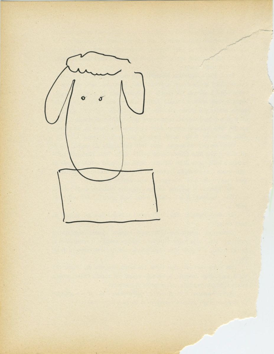 jeremiegrandsenne_2023_portraitlonguesoreillesetrectangle