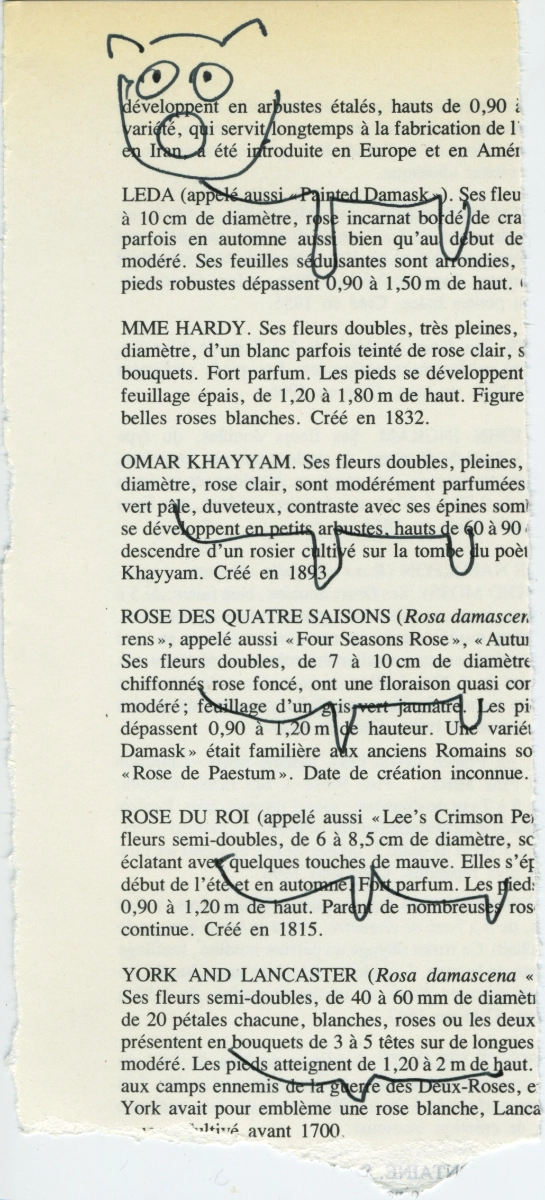 jeremiegrandsenne_2023_quelqueanimaldontquatrefoisincompet