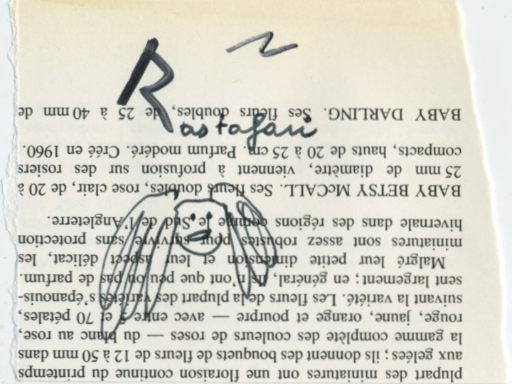 jeremiegrandsenne_2023_rastafari