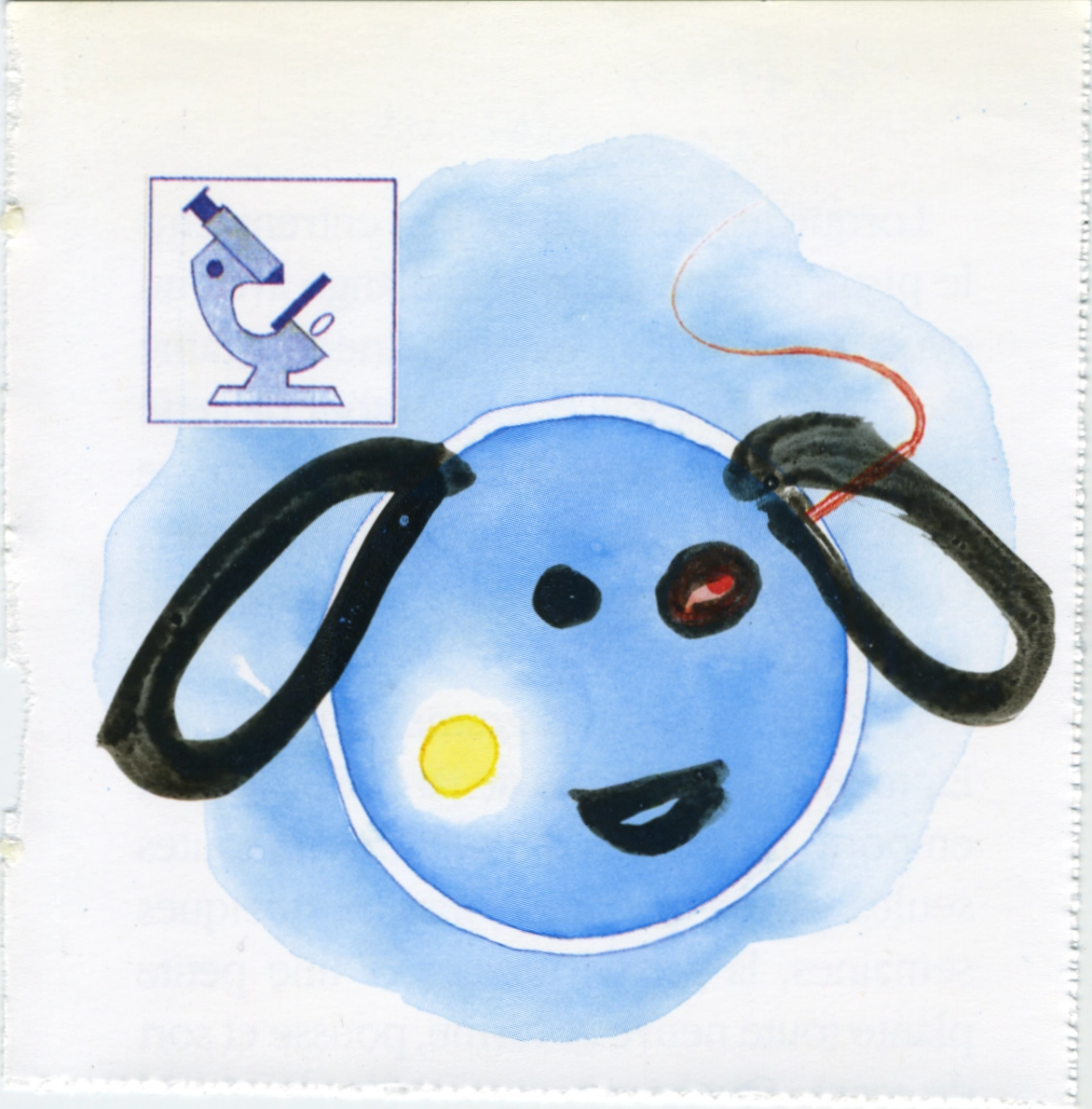 jeremiegrandsenne_2023_tetebleue