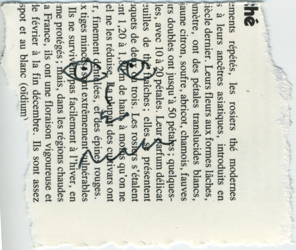 jeremiegrandsenne_2023_visageincertain