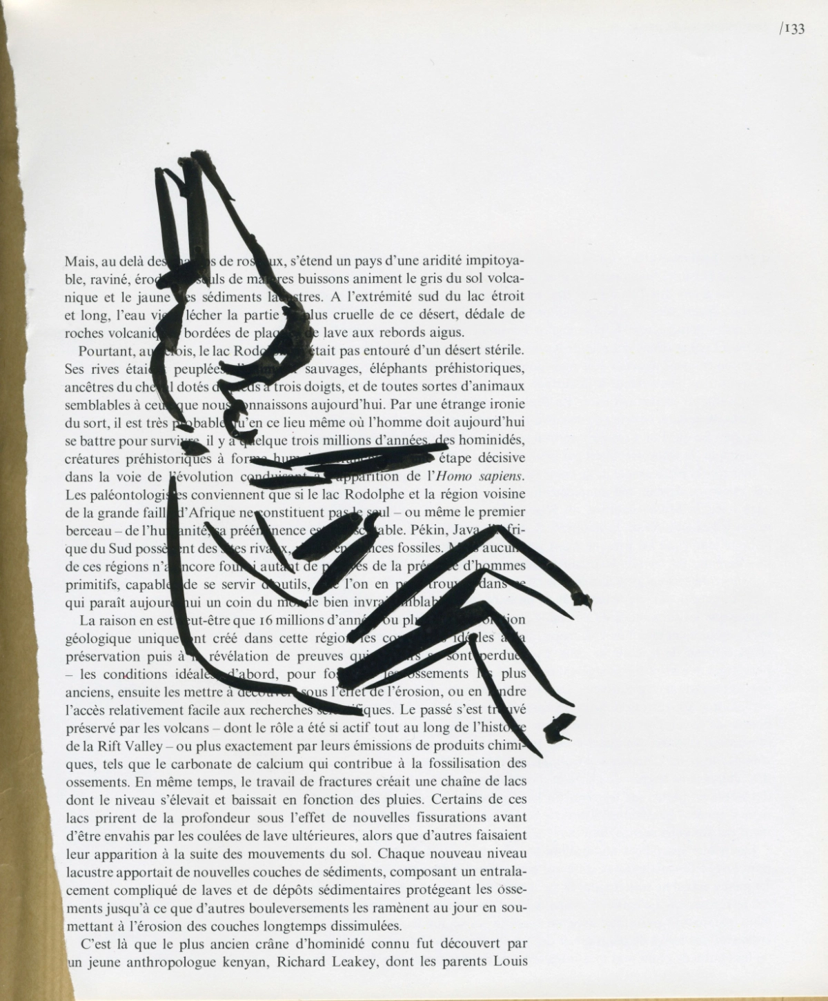 jeremiegrandsenne_legrandrift_assisauxoreillesanimales