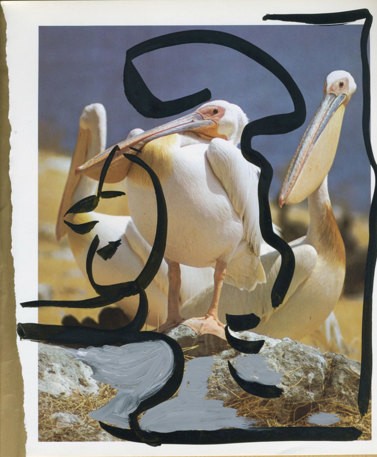 jeremiegrandsenne_legrandrift_cormorans