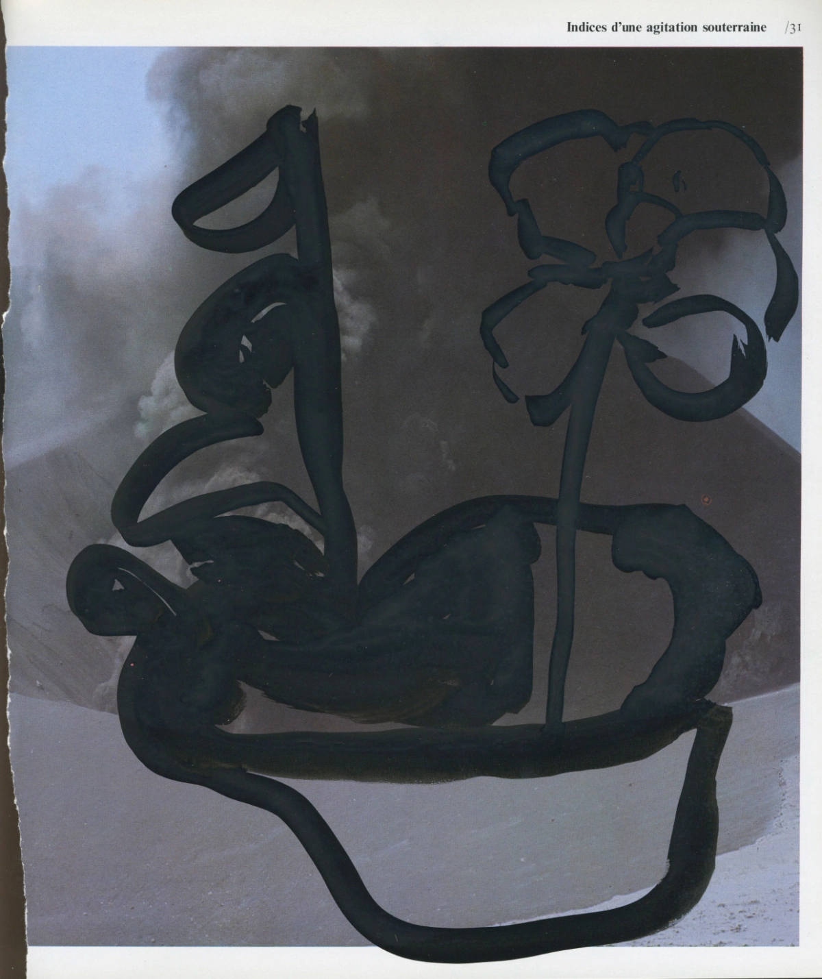 jeremiegrandsenne_legrandrift_potdefleursvolcan