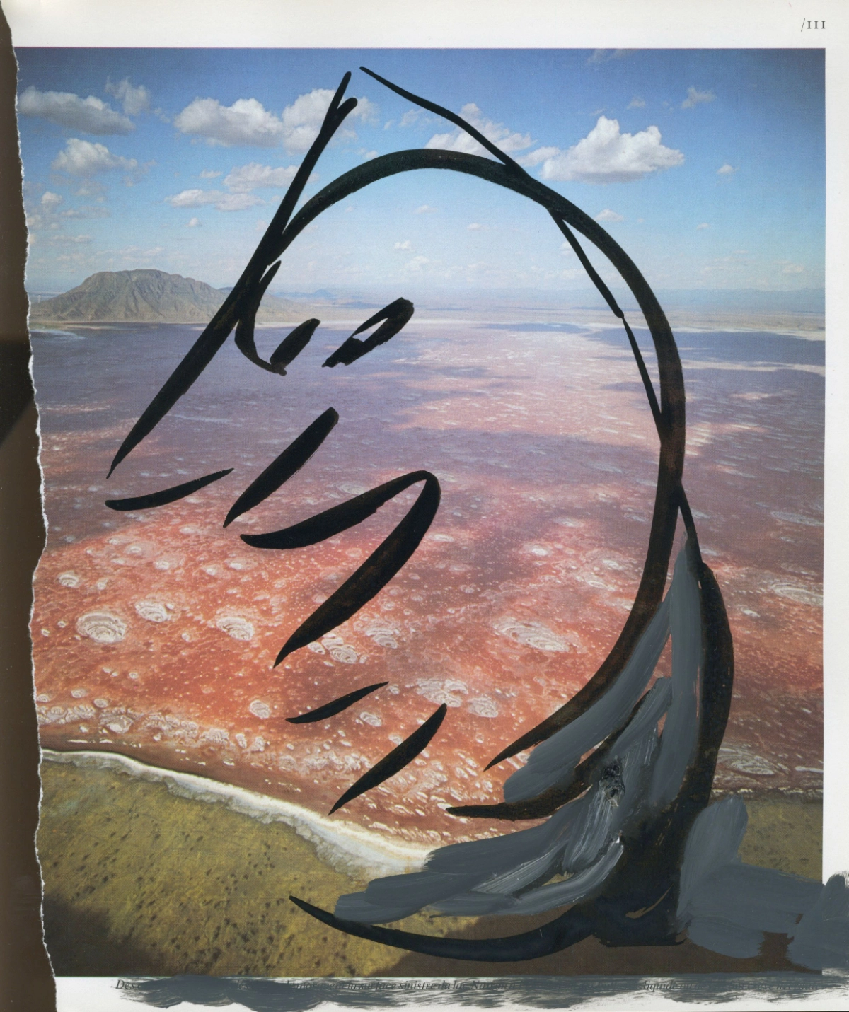 jeremiegrandsenne_legrandrift_visagepaysage